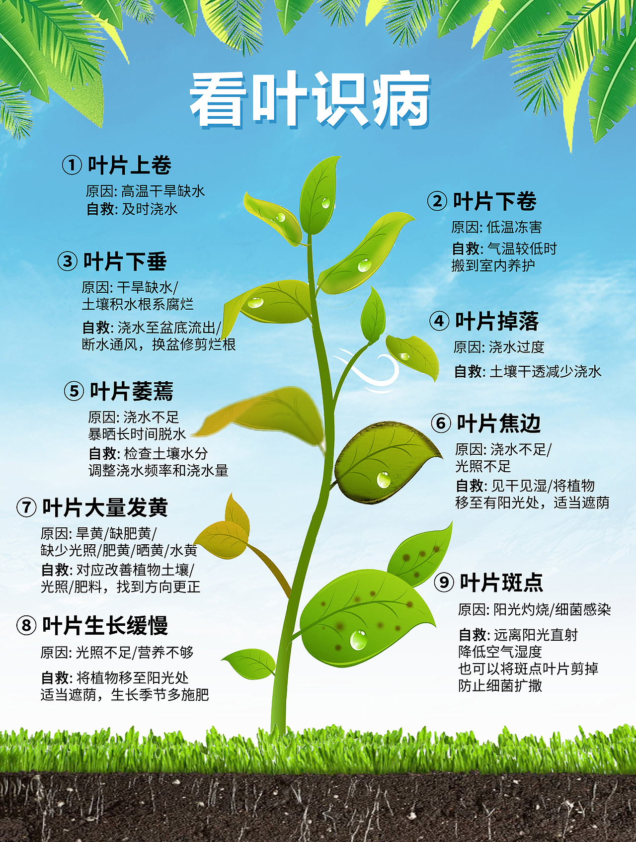 农业科普海报（图ZMzUxMTI2OTEy） - 海报 - 站酷设计师唯一的泳桓桓呀原创素材 - 站酷ZCOOL