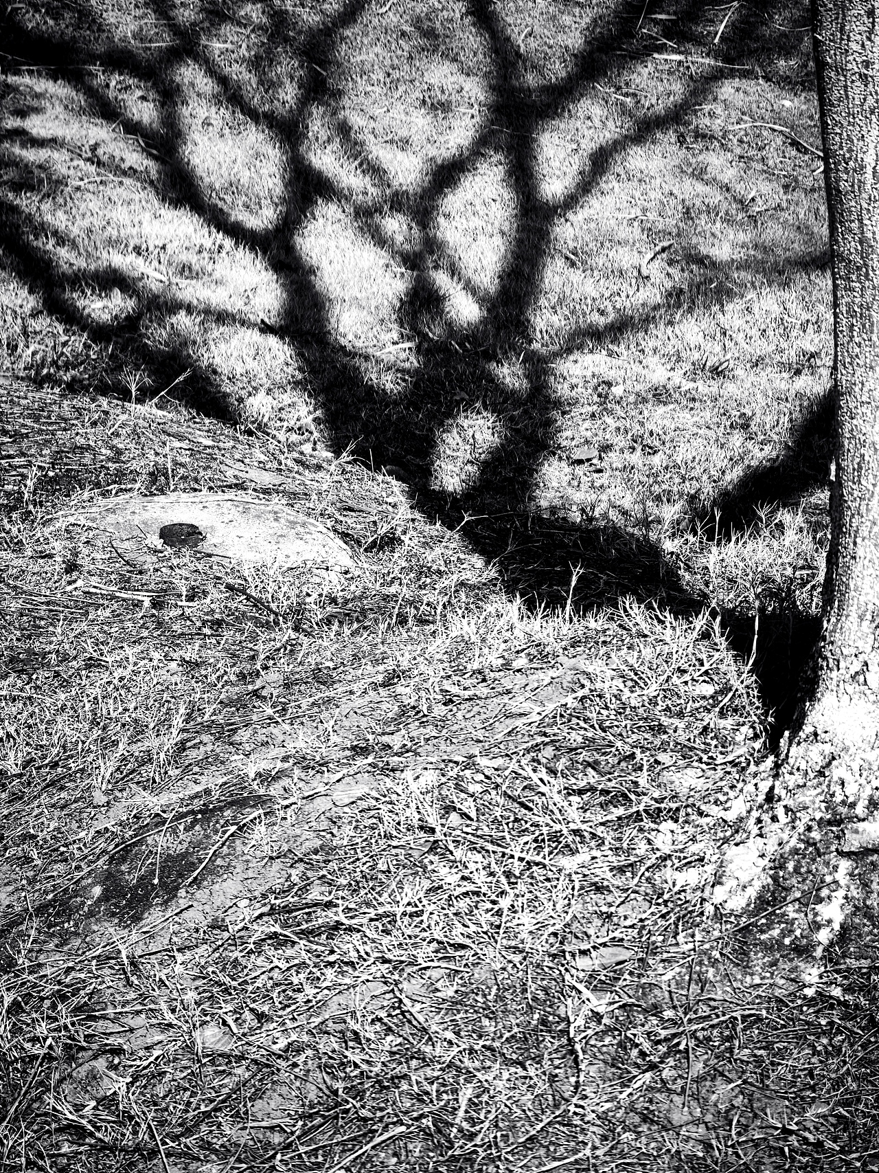 光与影的游戏—手机摄影集合