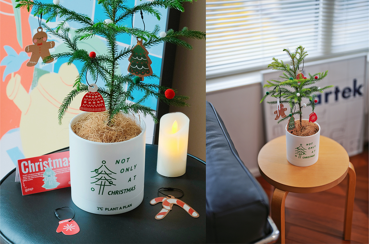 PLANT A PLAN | 自然轻生活产品包装设计合集