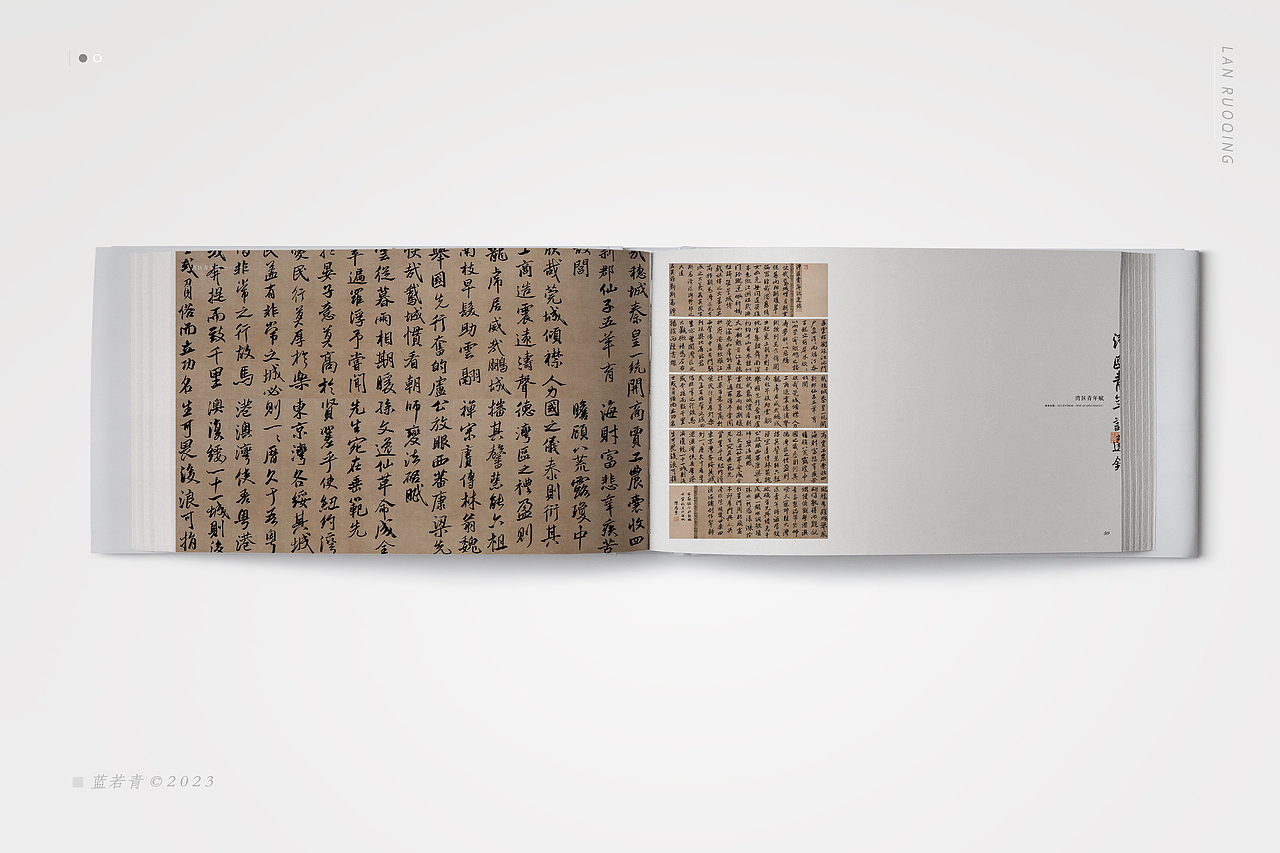 《清风若芷》｜国画作品集｜书籍装帧｜考研作品集（图ZMzU0NjE0ODgw） - 书籍/画册 - 站酷设计师蓝若青原创素材 - 站酷ZCOOL