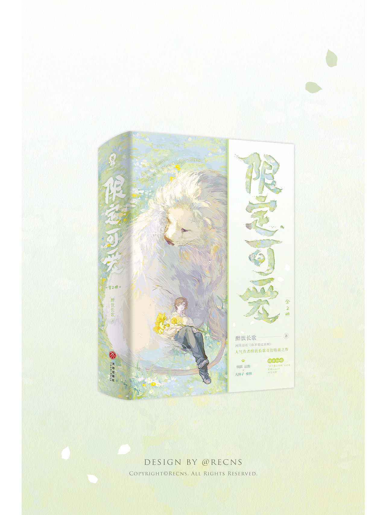 《限定可爱》书籍封面设计|正式出版物