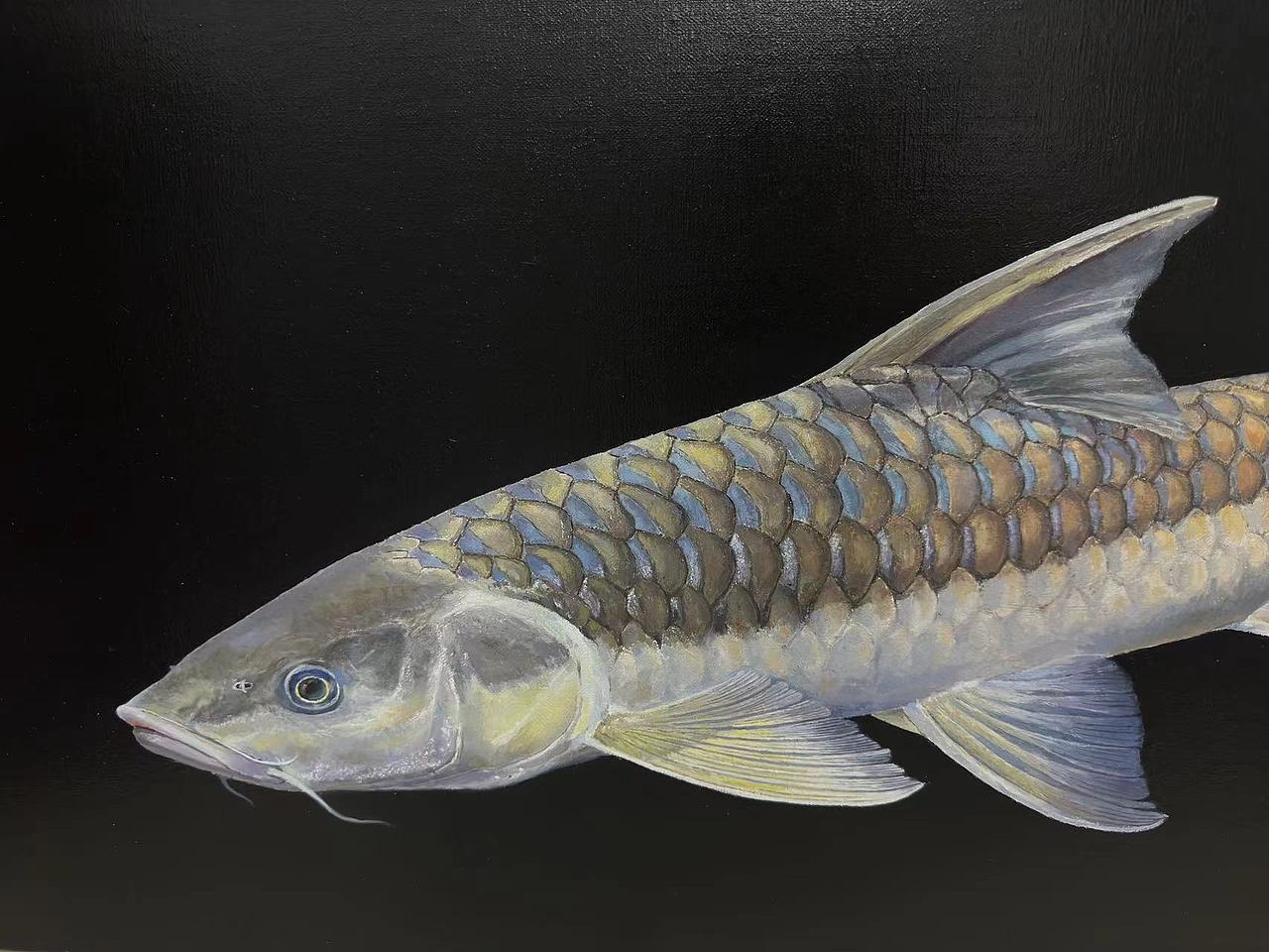 吉罗鱼（图ZMzY2NTgyNjM2） - 绘画 - 站酷设计师雷娄煤原创素材 - 站酷ZCOOL