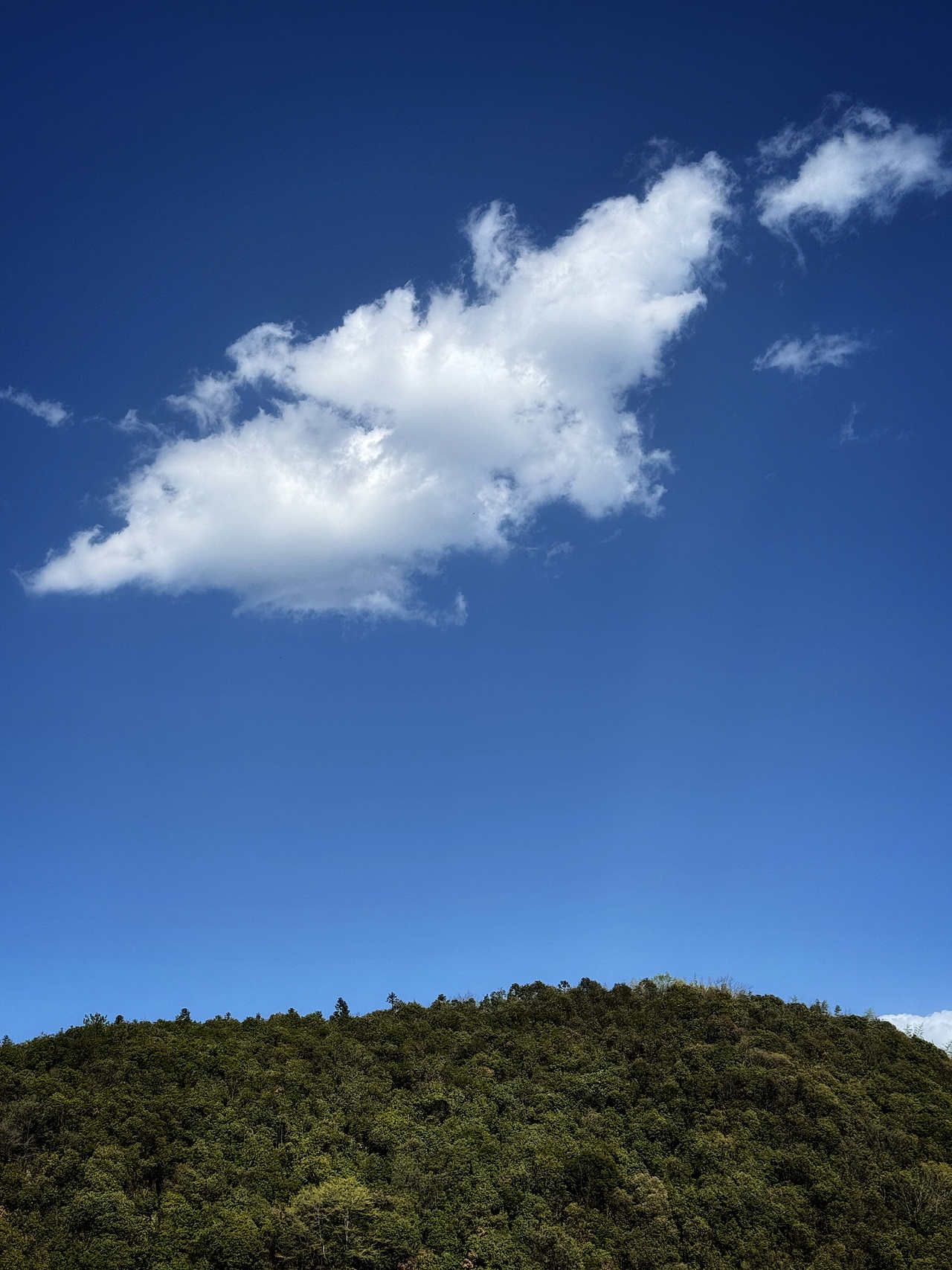 CHOICE游记摄影 I 莫干山（图ZMzY1ODU4MDg4） - 风光摄影 - 站酷设计师CHOICE窍思原创素材 - 站酷ZCOOL