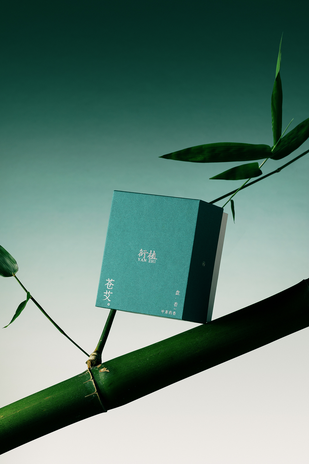 产品摄影 | 衍植-盘香（图ZMzYyOTIzNjQ0） - 产品摄影 - 站酷设计师猫怪麦克原创素材 - 站酷ZCOOL