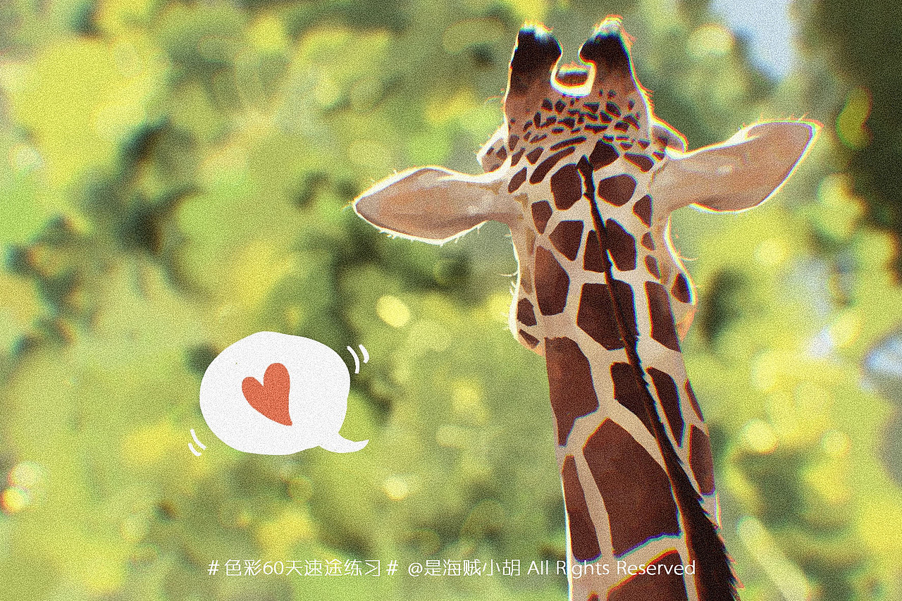 色彩60天速途练习 part2