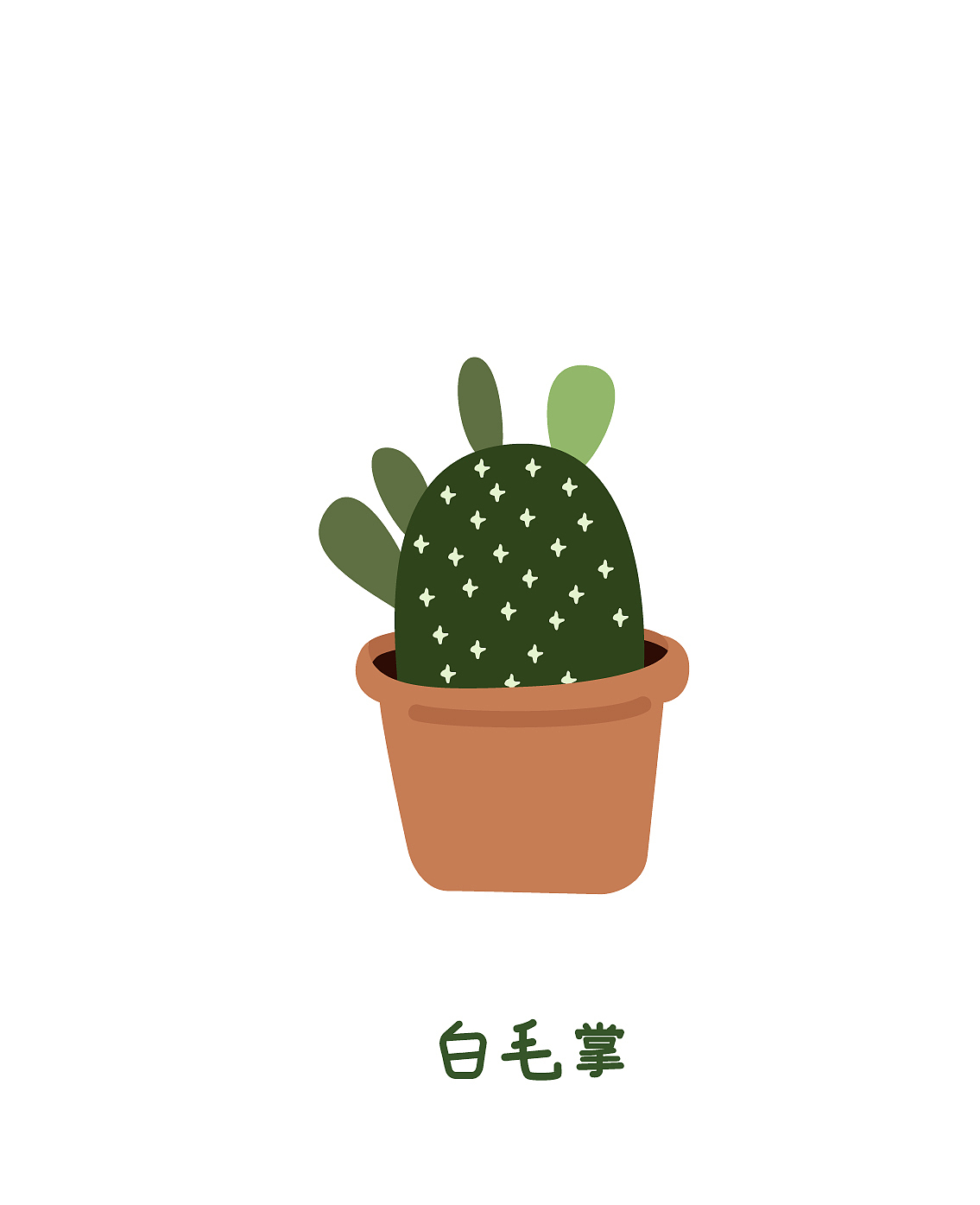 插画习作 | 仙人掌