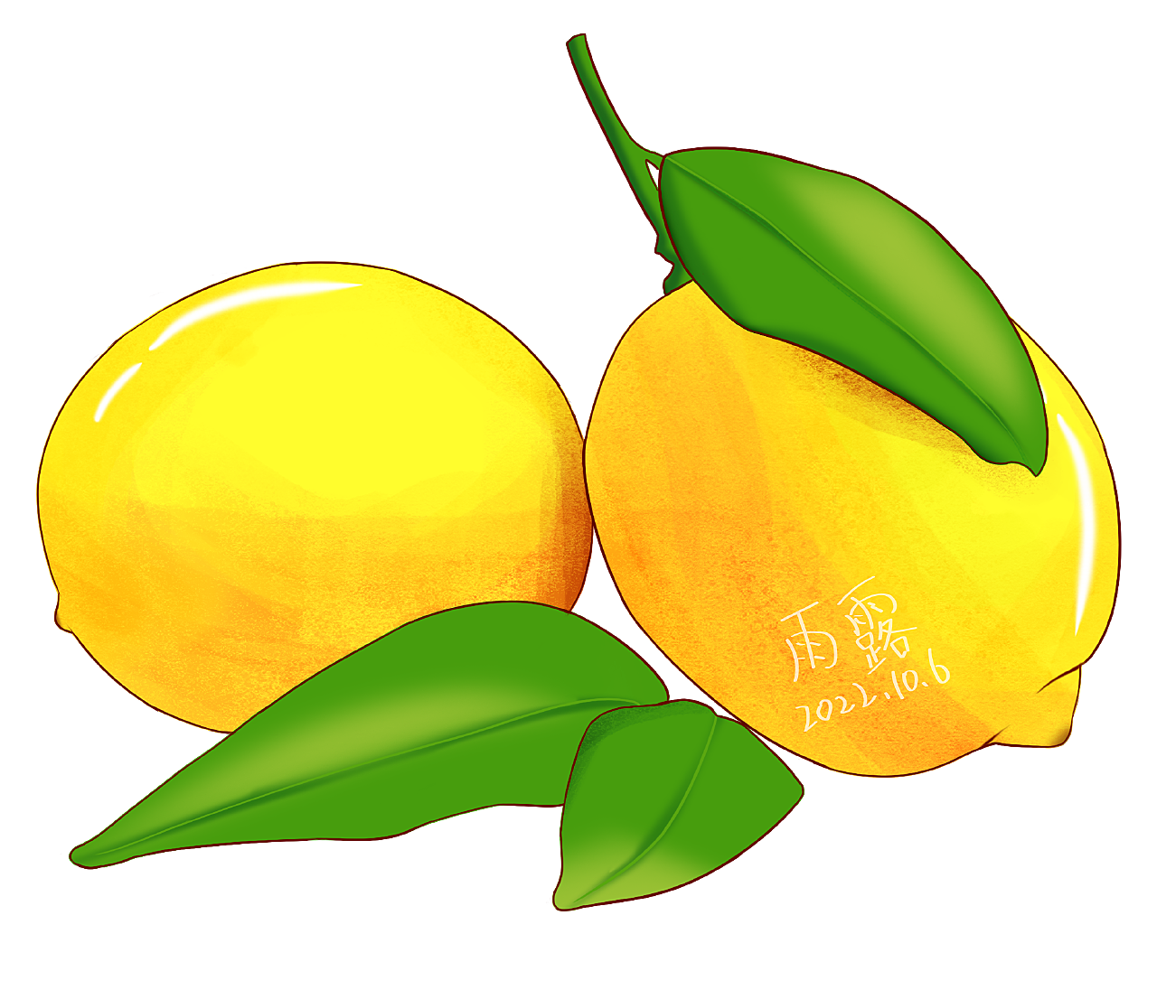 柠檬做成柠檬干保存怎么做_柠檬做成柠檬干保存的做法_豆果美食