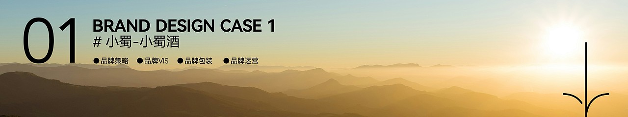 英迈品牌设计2023@案例合集（下）  策略/视觉/运营  