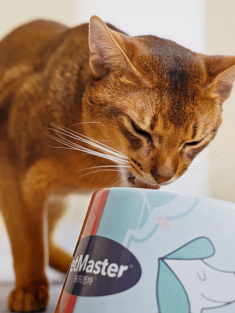 PetMaster佩玛思特宠物猫粮 乐趣文化 #创作加油站#