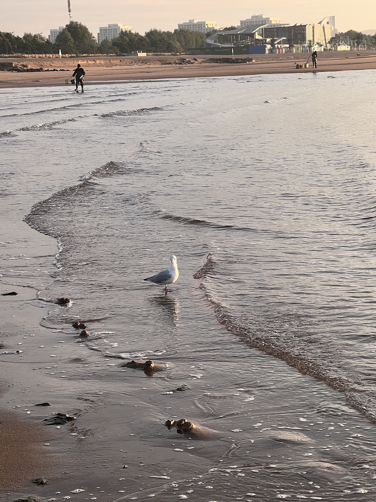 日出比日落好听