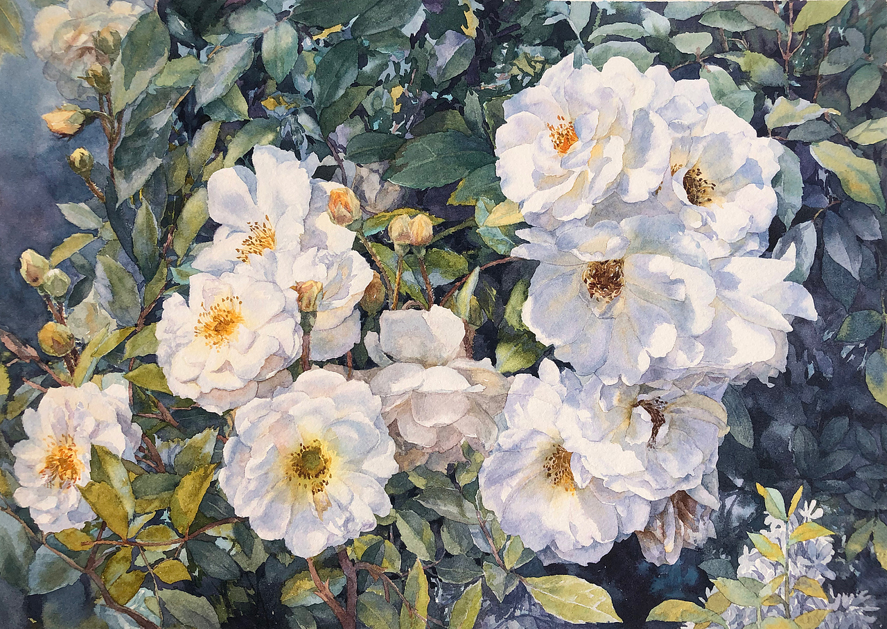 2020年部分水彩画练习