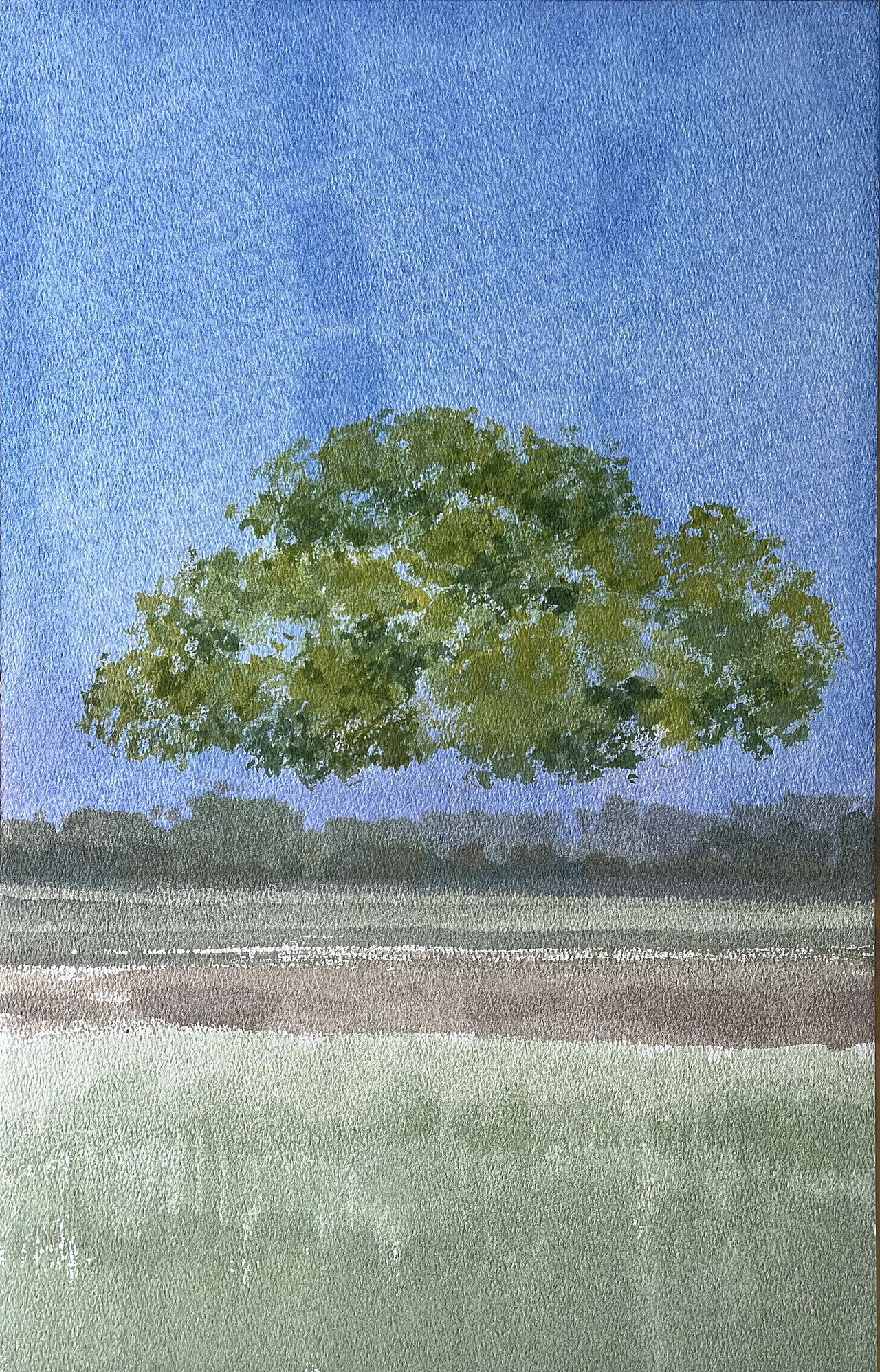 水彩风景——秋天,逃不过那棵树