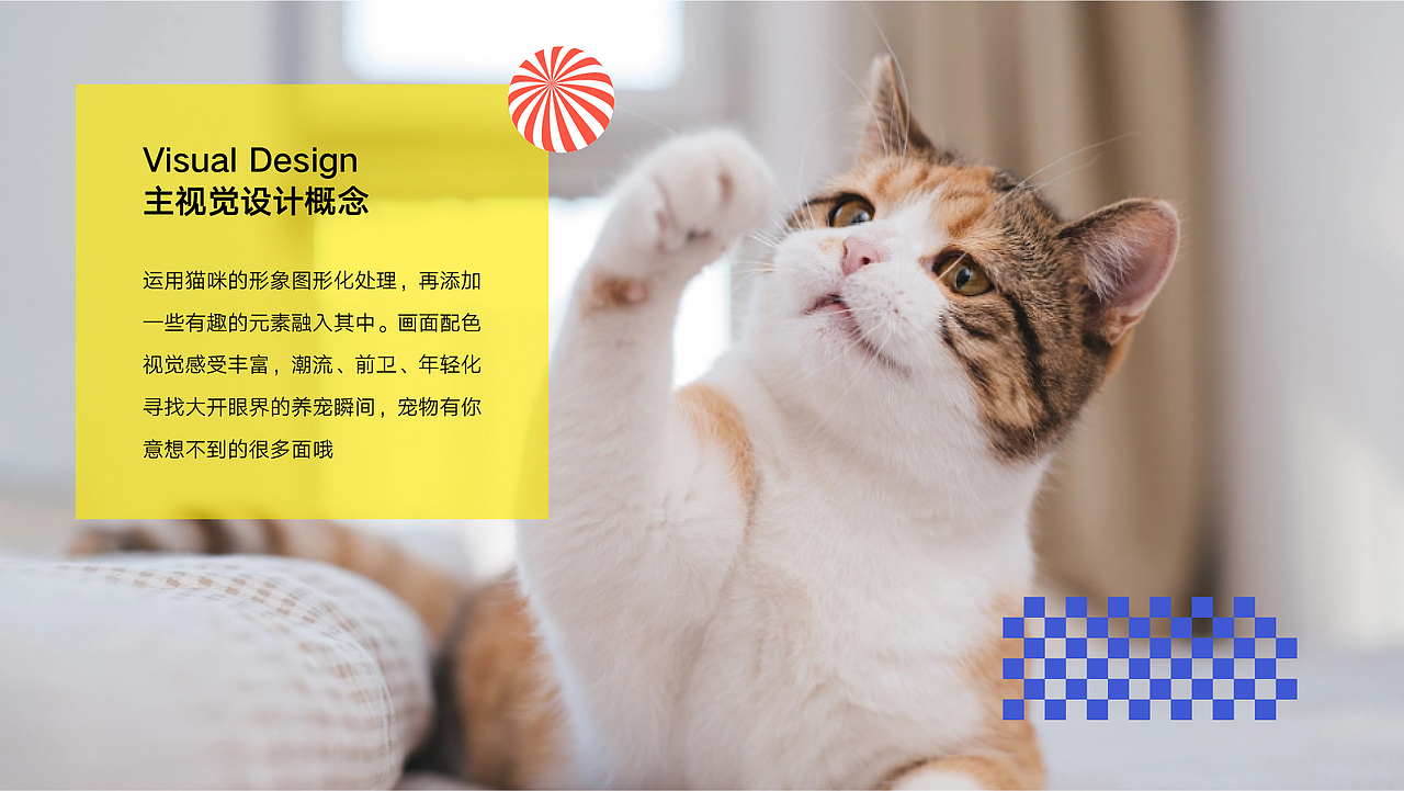 宠物观察局｜主视觉设计（图ZMzIyOTk0NTI4） - 海报 - 站酷设计师啊懵99原创素材 - 站酷ZCOOL