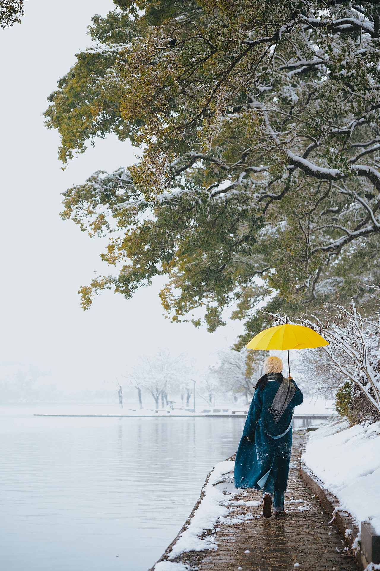雪是上帝给人间的情书