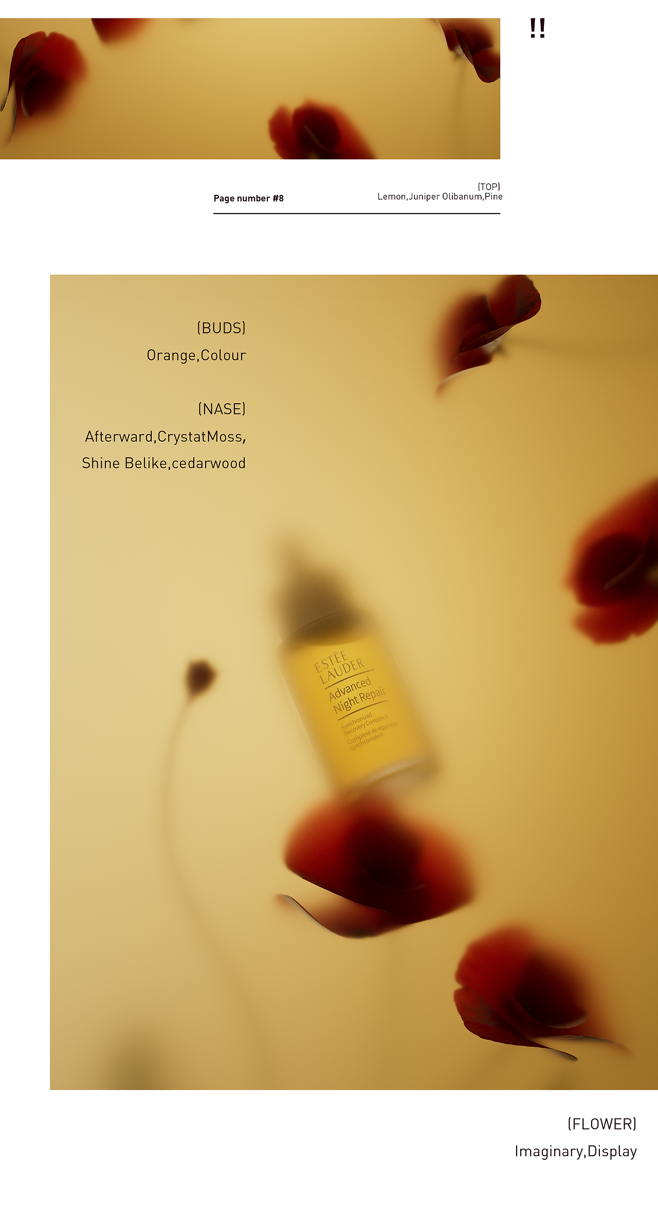 影调渲染丨优雅丨系列丨高级丨雅集Studio(图ZMzY3Nzk0MDg4) - 产品 - 站酷设计师雅集视觉原创素材 - 站酷ZCOOL