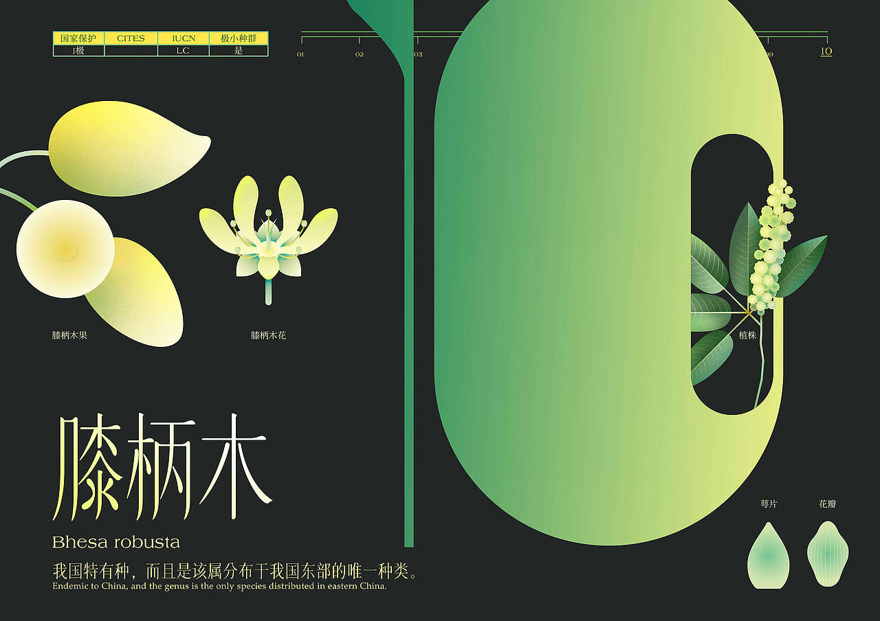 最后的植物(图ZMjk3NDc4NTky) - 信息图表 - 站酷设计师竹子林里赏绿竹原创素材 - 站酷ZCOOL