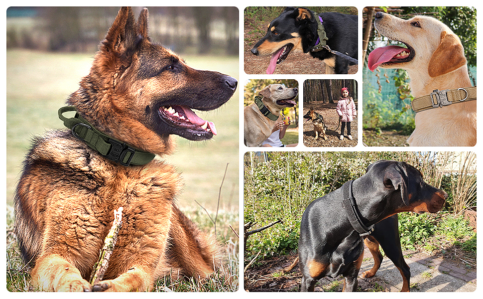 亚马逊 宠物战术项圈