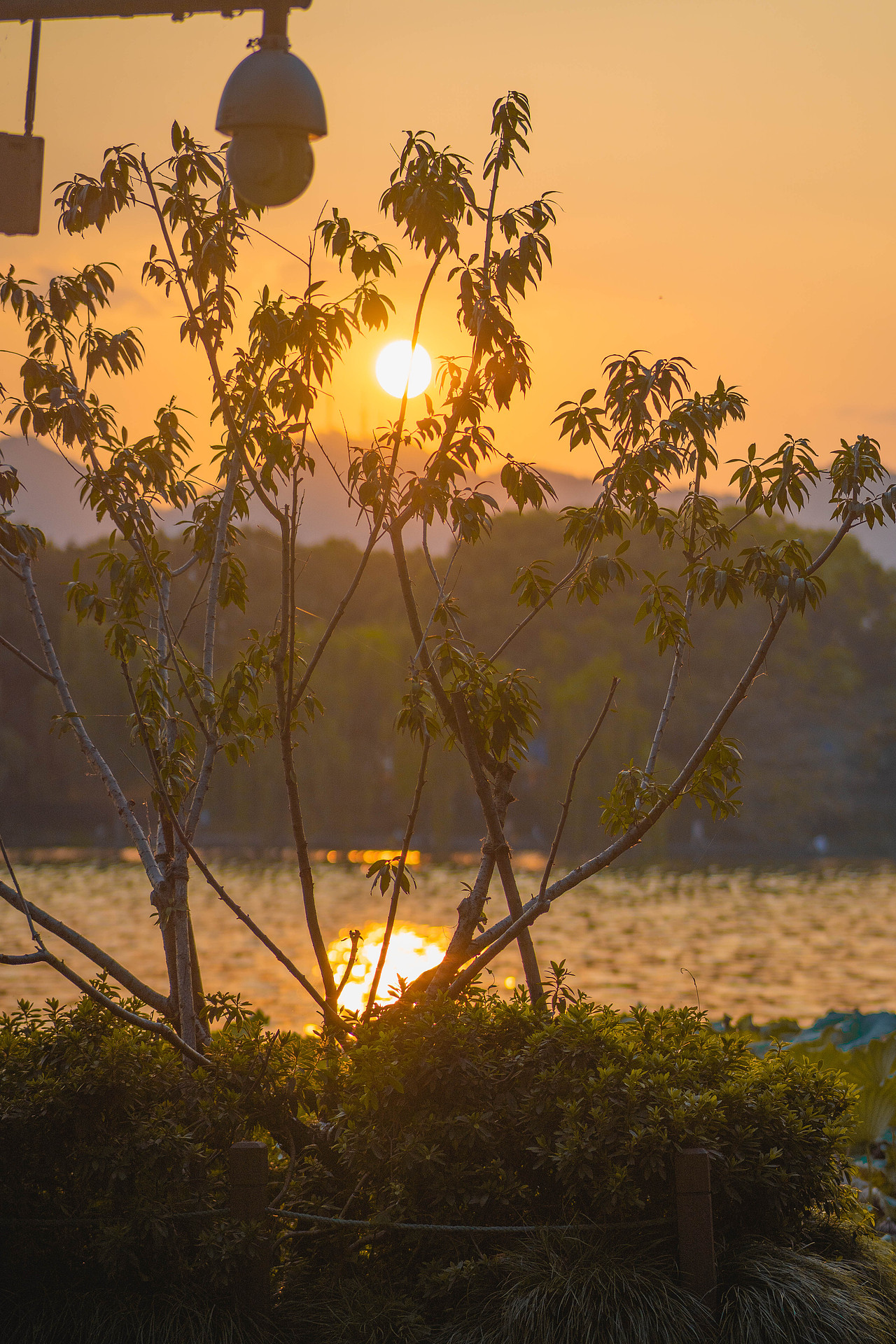 街头摄影创作/杭州合集