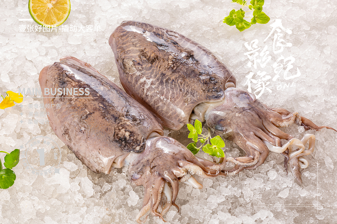 #冰鲜#海鲜#冻货#带鱼生蚝#扇贝#螃蟹#西安美食摄影（图ZMzQ3NzE5Nzky） - 美食摄影 - 站酷设计师西安食纪影像原创素材 - 站酷ZCOOL