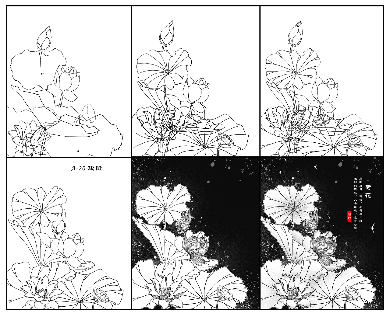 荷花插画（图ZMjk2MzQyODY4） - 商业插画 - 站酷设计师梦里秋山原创素材 - 站酷ZCOOL