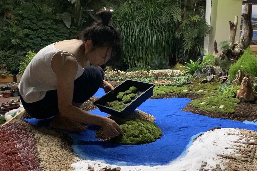 2020沭阳多肉展会视觉及造景设计全方案（图ZMzQ3NzYzNjEy） - 海报 - 站酷设计师一窝时光王飘飘原创素材 - 站酷ZCOOL