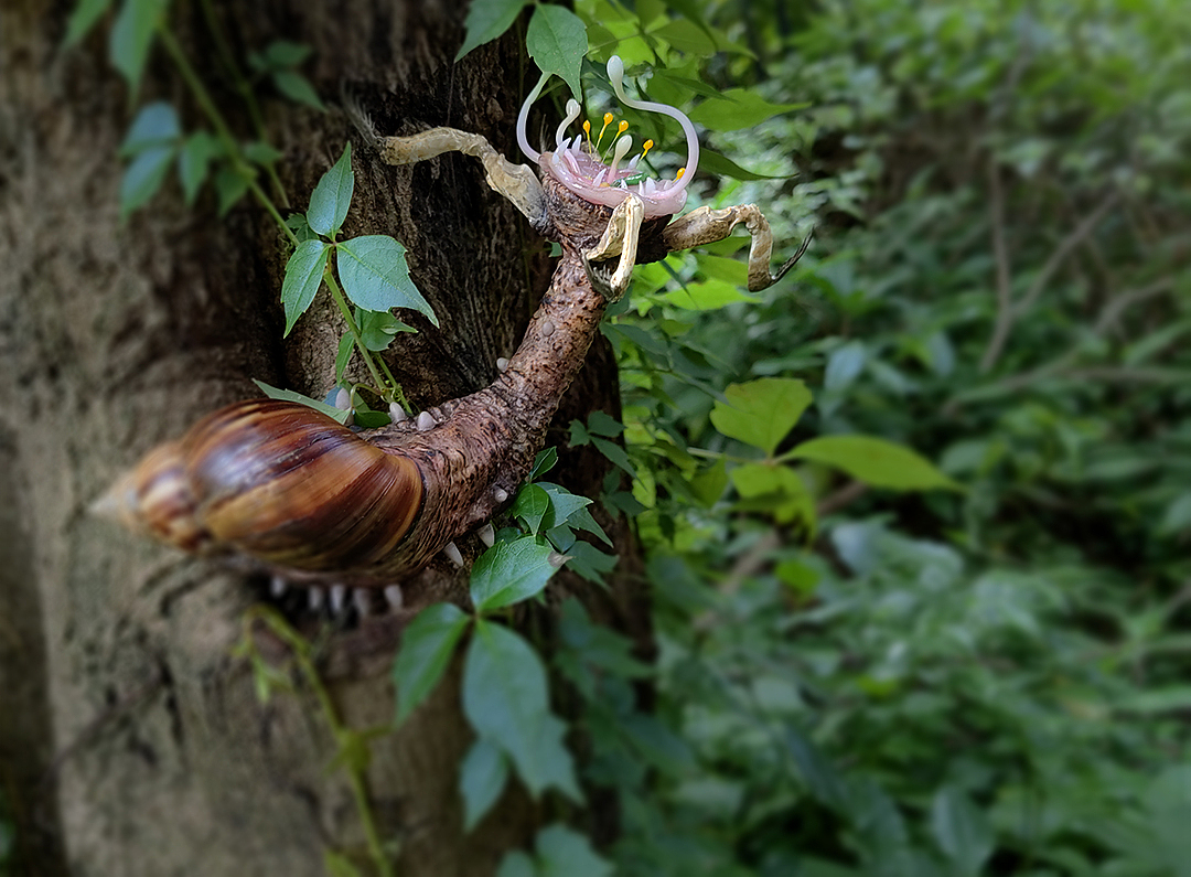 幻想生物-蜗牛的树栖亚种（图ZMzI0NjcwODU2） - 手办/模玩 - 站酷设计师至在阿良原创素材 - 站酷ZCOOL