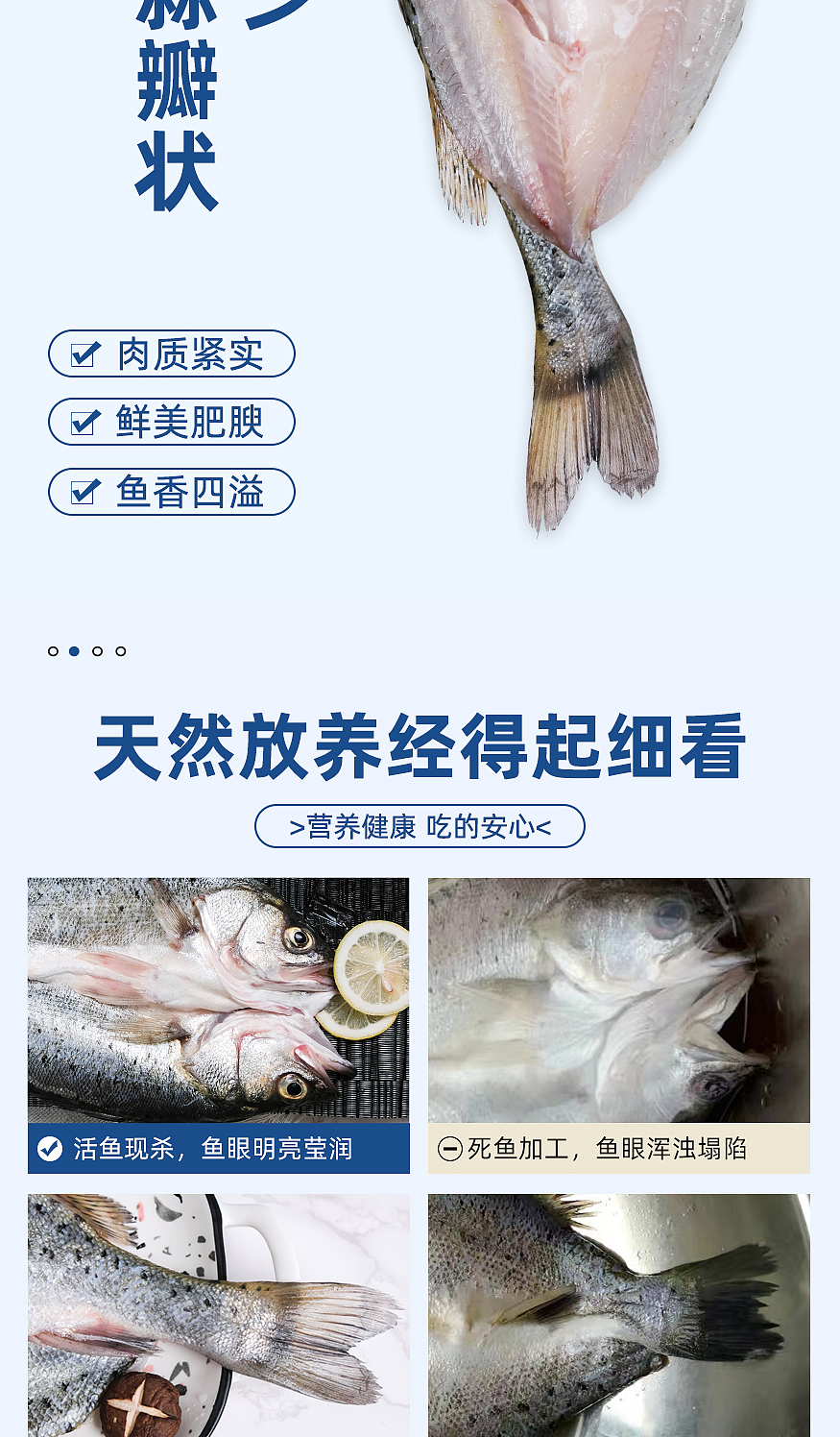 鲈鱼详情1.0（图ZMzU4NzM1NDcy） - 电商 - 站酷设计师Maymay阿原创素材 - 站酷ZCOOL
