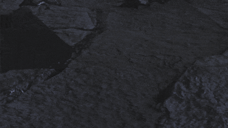 GIF 1