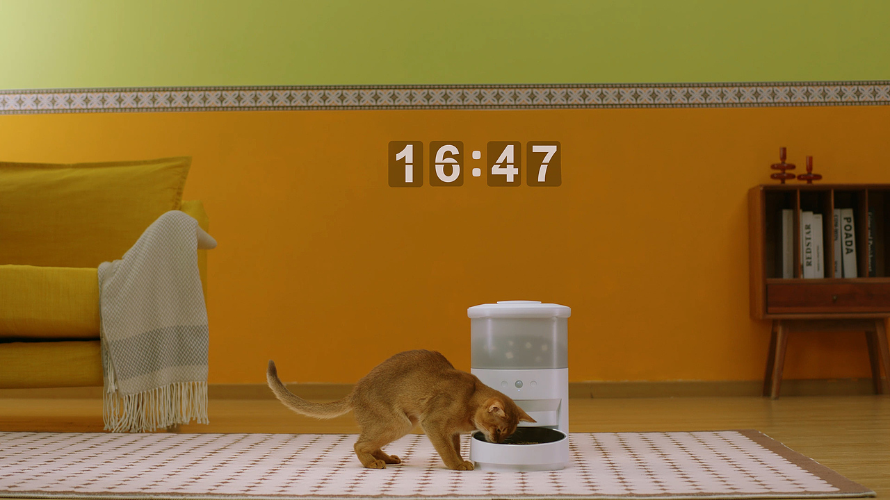 宠物智能真空喂食器安德森风格（图ZMzM3Mjk5OTI0） - 宣传片 - 站酷设计师珀珀视觉原创素材 - 站酷ZCOOL