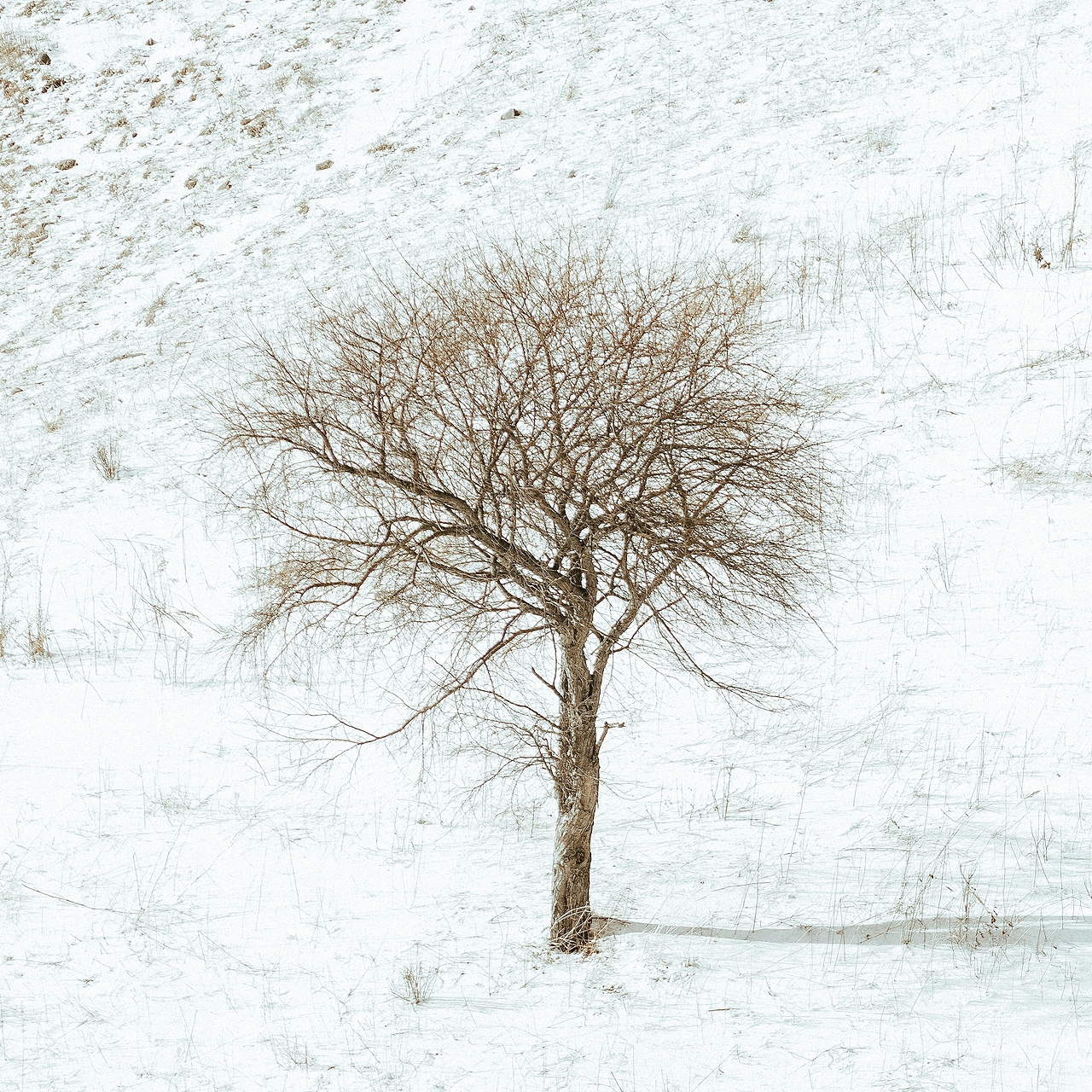一路伴随落日 朝向阳光（图ZMzIyMjY3MzM2） - 人文/纪实摄影 - 站酷设计师拾光朝圣者原创素材 - 站酷ZCOOL