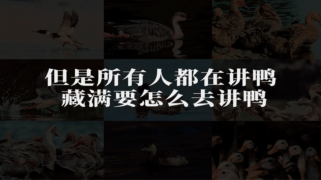 湖南特色鸭霸王火锅品牌全案设计（图ZMzQyMzk5MzU2） - 品牌 - 站酷设计师白日梦划设计原创素材 - 站酷ZCOOL