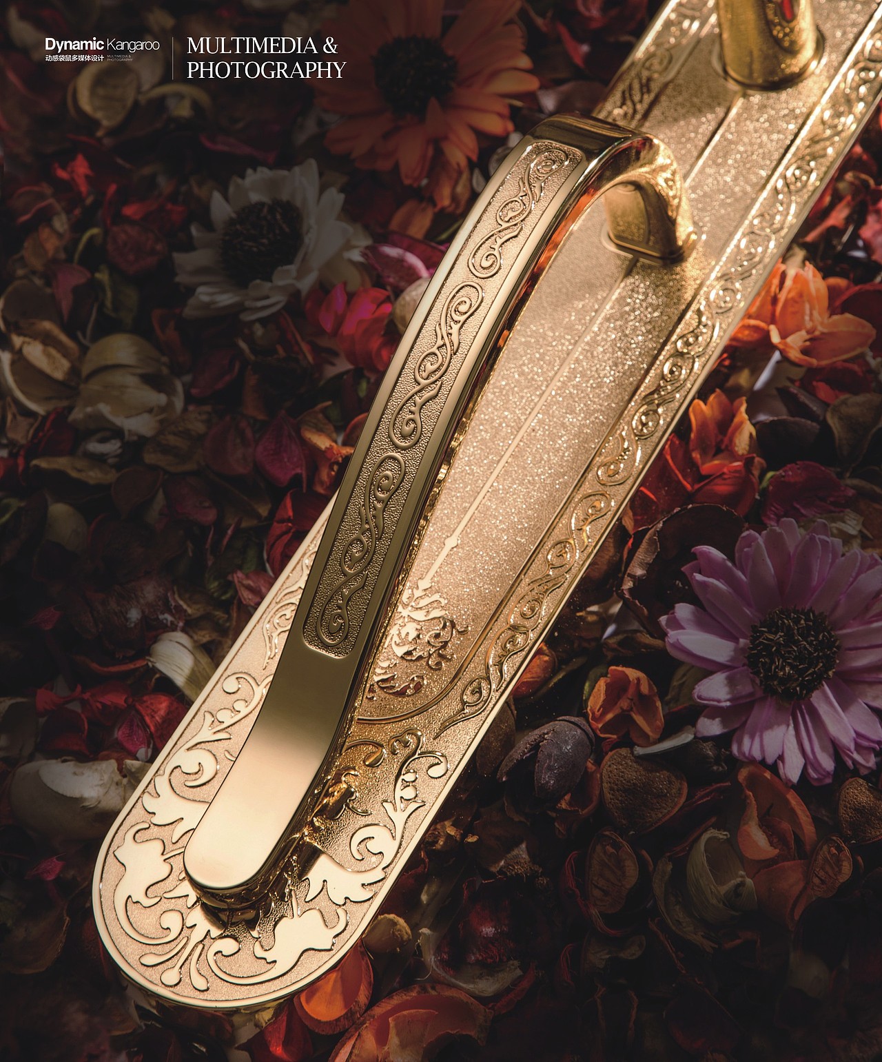 视觉猎奇 捕捉睛彩 | 产品篇 |