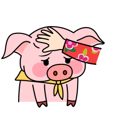 村花胡小妹第2弹