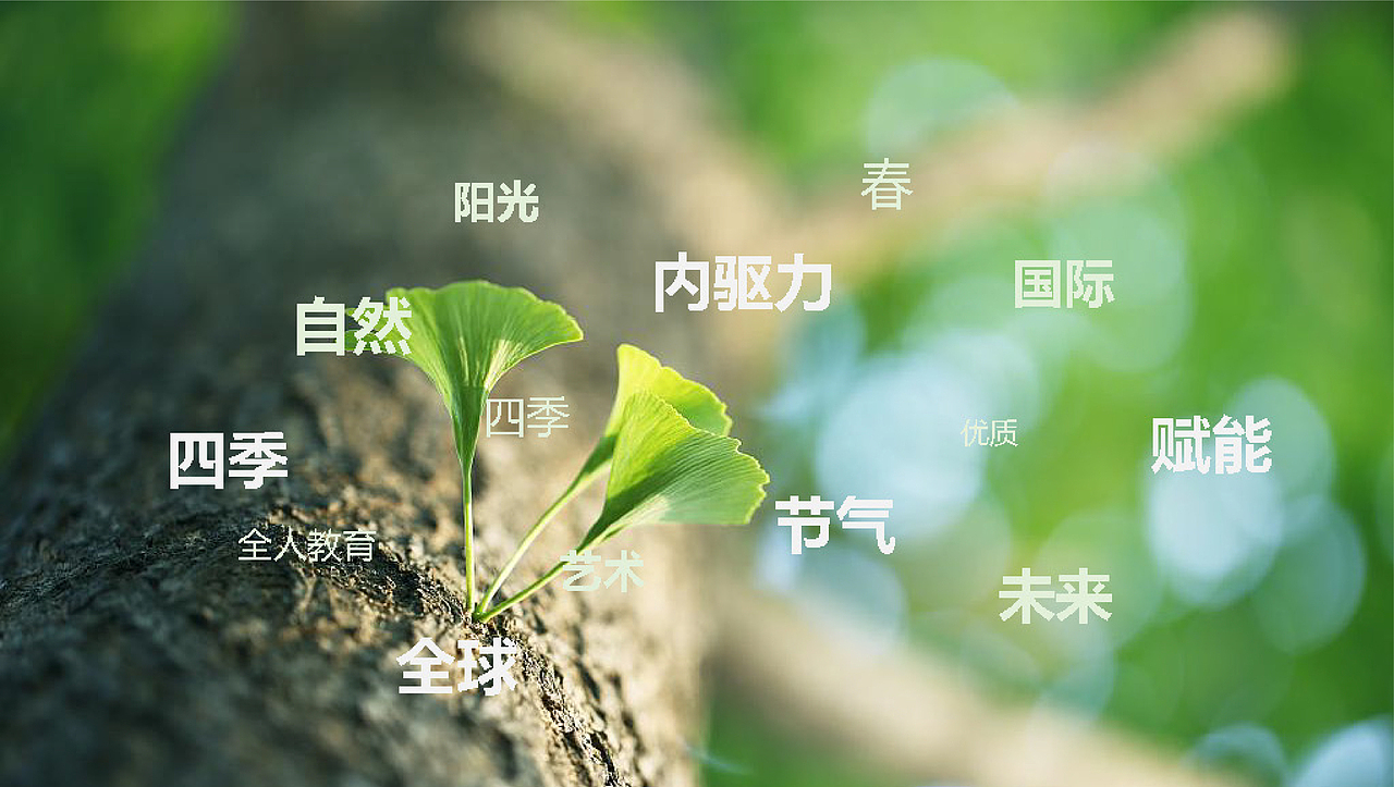 艺术培训 美育logo 学校vi logo 校园vi 教育设计(图ZMzIxMDk0NTQw) - 品牌 - 站酷设计师LOGOUU原创素材 - 站酷ZCOOL
