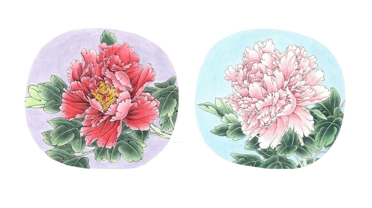Paeonia × suffruticosa Andr.（图ZMzIxOTIxMjA0） - 绘画 - 站酷设计师Hysterics原创素材 - 站酷ZCOOL