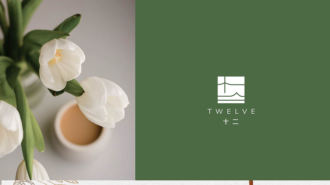 绿植集合店——时而 十二 看时光流梭,只在十二