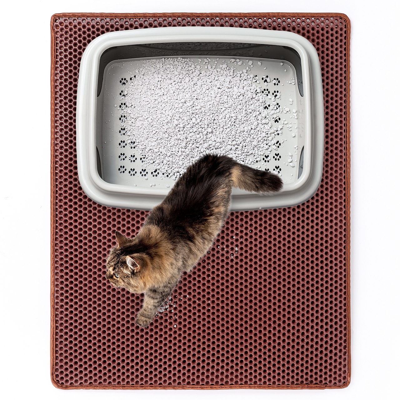亚马逊猫砂垫主图设计
