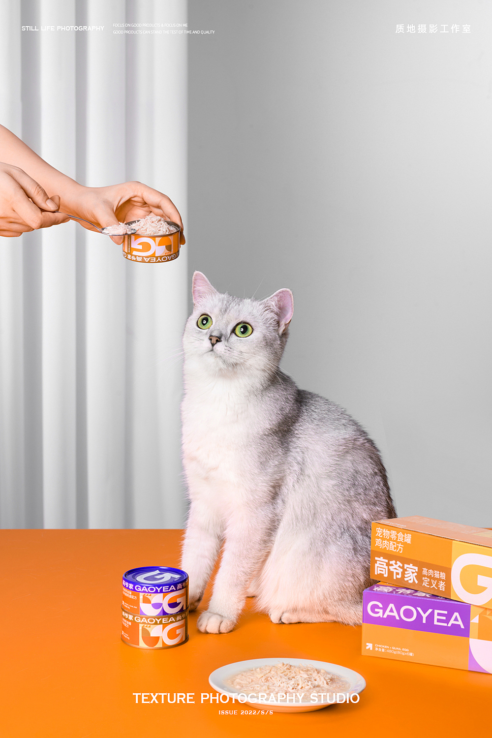 猫粮摄影 I 高爷家 x TPstudio摄影