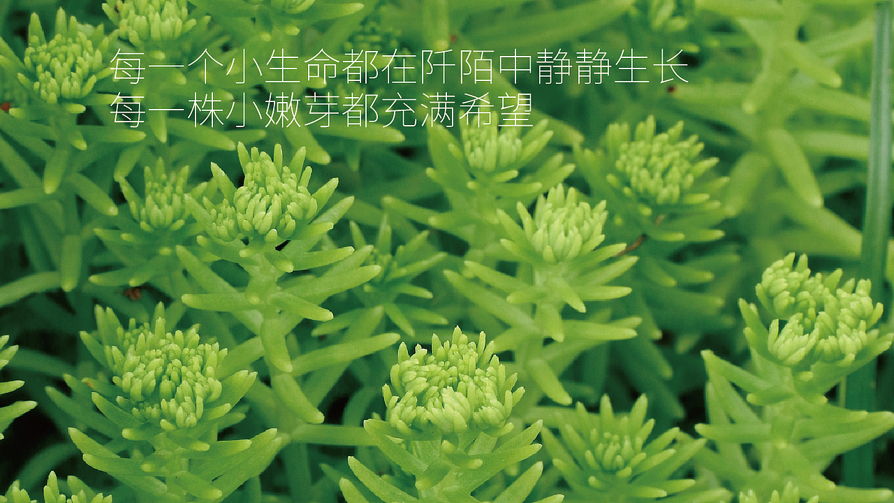 LOGO logo Logo LOGO设计 vi vi设计 包装 包装设计（图ZMzMwNjU2NjAw） - Logo - 站酷设计师郑昌洪品牌vi包装原创素材 - 站酷ZCOOL