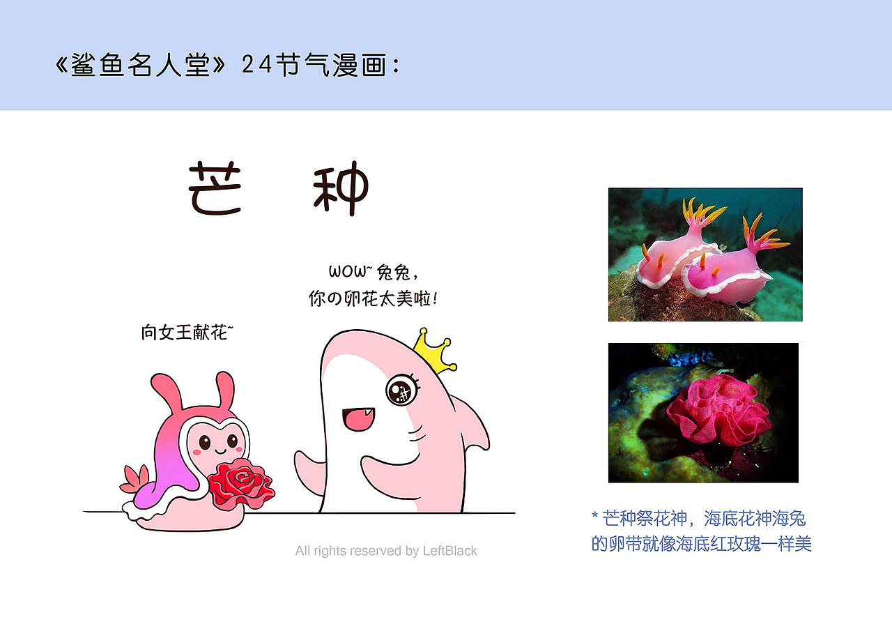 《 鲨鱼名人堂：海底24节气 》 漫画（图ZMzQyOTMyMTg0） - 短篇/格漫 - 站酷设计师LeftB原创素材 - 站酷ZCOOL