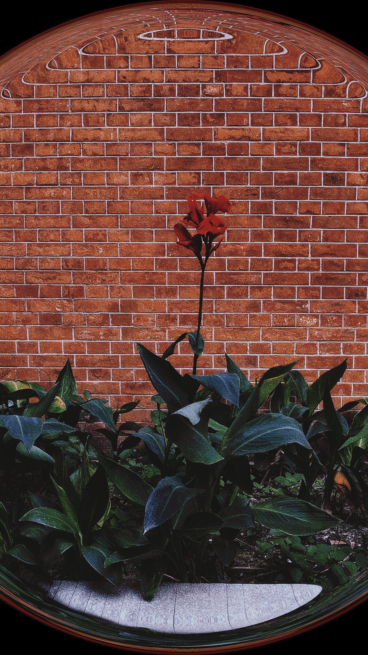 摄影-随拍（图ZMzE5NDYyMjcy） - 海报 - 站酷设计师上上宾原创素材 - 站酷ZCOOL