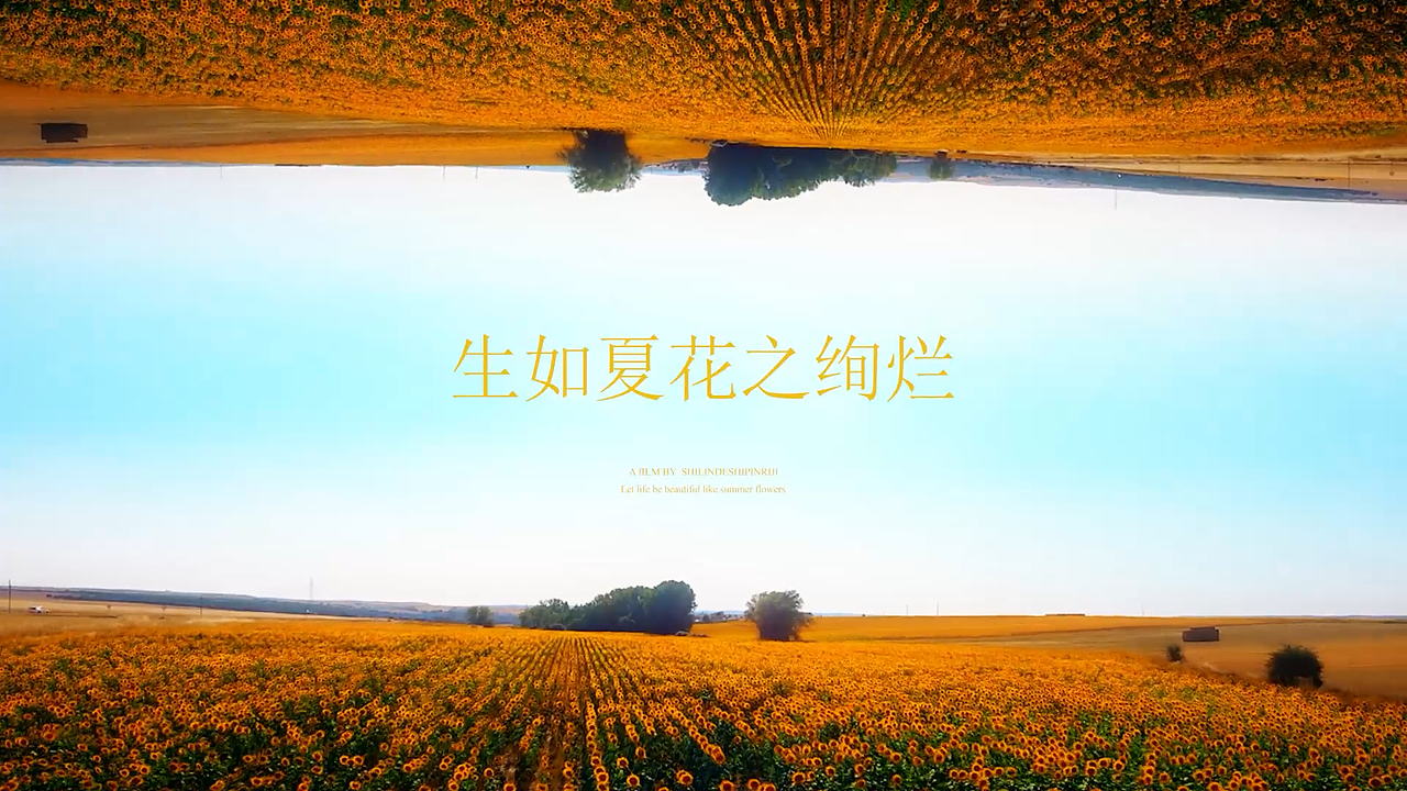 【PR教程】盗梦空间-镜像翻转旋转效果！（图ZMzQ0NTk3ODcy） - 影视后期 - 站酷设计师仕林的视频日记原创素材 - 站酷ZCOOL