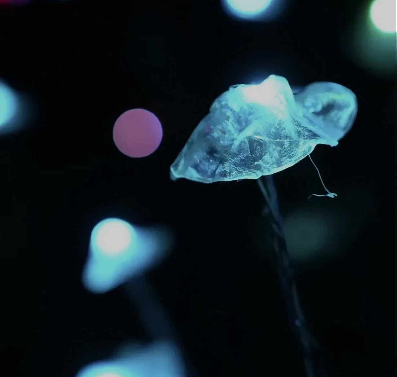 #2023 青春答卷#《IF YOU ASK ME》