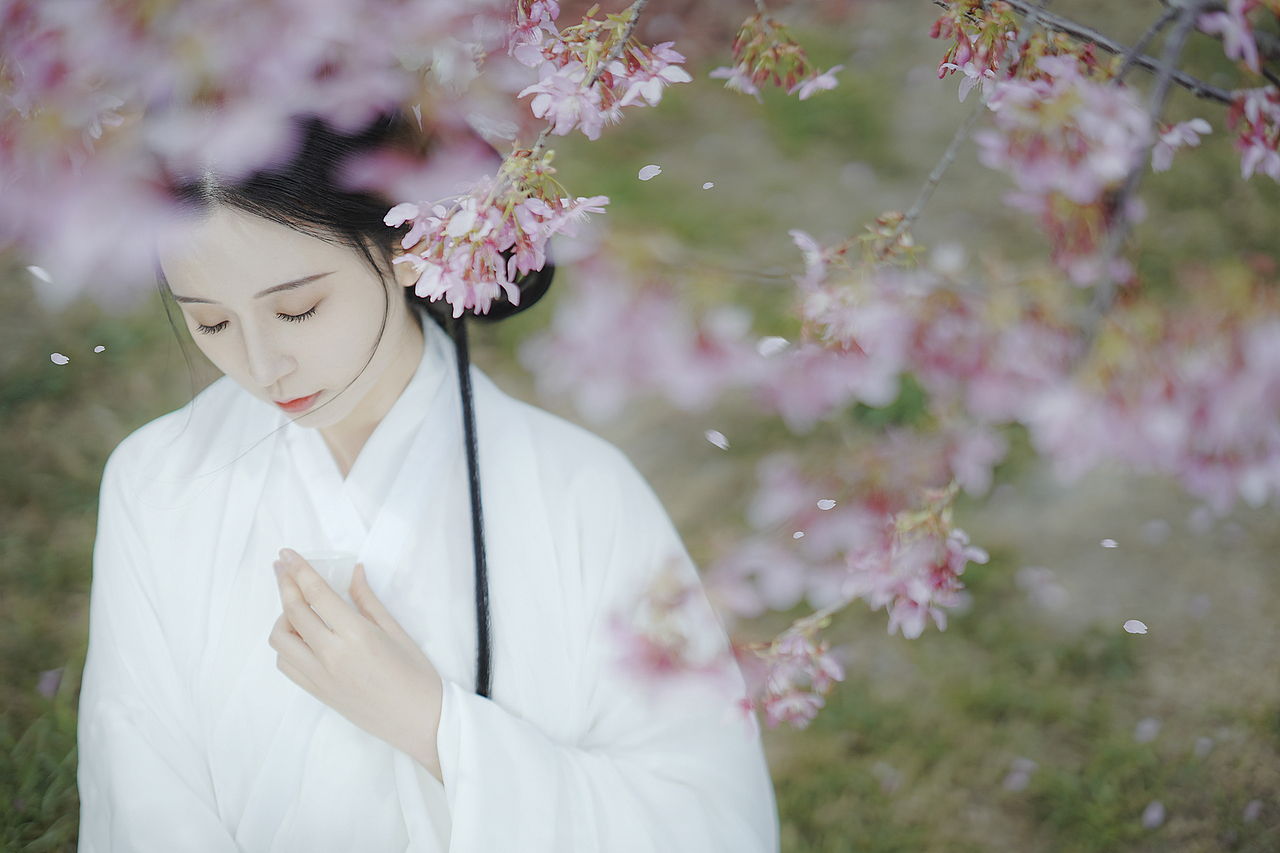 春日宴 魏晋樱花汉服写真