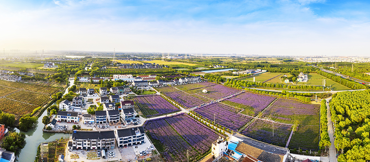 原创作品  禁止转载