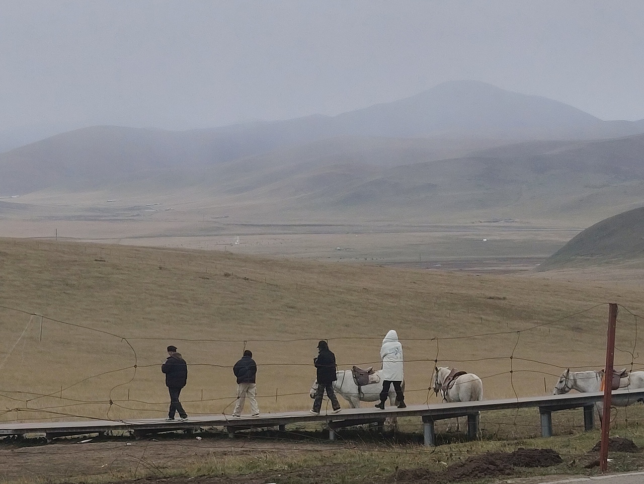 镜头里往往藏着比语言更丰盈的故事。（图ZMzU3MDQ0NTUy） - 人文/纪实摄影 - 站酷设计师322的233原创素材 - 站酷ZCOOL