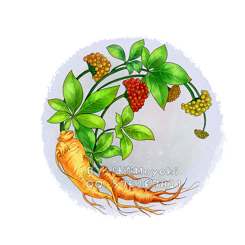 植物插画（图ZMzEyOTk1MjI0） - 商业插画 - 站酷设计师叶迦原创素材 - 站酷ZCOOL