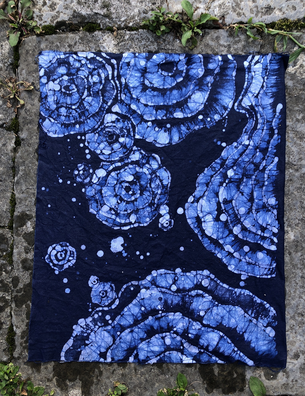 《共生》- 我在贵州画树皮（图ZMzI1ODc1MDAw） - 商业插画 - 站酷设计师菲非Fiona原创素材 - 站酷ZCOOL