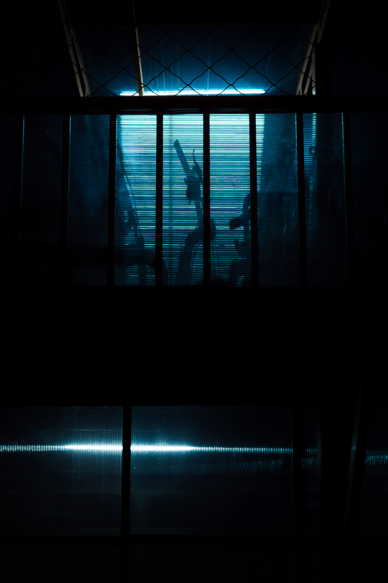 梦幻街头（图ZMzE0NDMyNjI4） - 人文/纪实摄影 - 站酷设计师williamfang原创素材 - 站酷ZCOOL