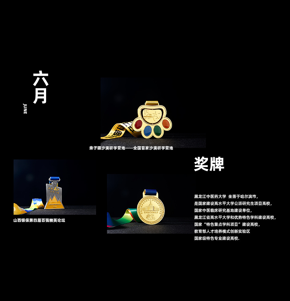 獎(jiǎng)牌設(shè)計(jì)合集第一彈（圖ZMzAwOTc2OTQ0） - 宣傳物料 - 站酷設(shè)計(jì)師亞斯藍(lán)原創(chuàng)素材 - 站酷ZCOOL